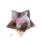 マハロのいちにち（個別スタンプ：2）