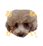 マハロのいちにち（個別スタンプ：3）
