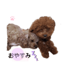 マハロのいちにち（個別スタンプ：6）