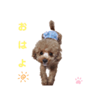 マハロのいちにち（個別スタンプ：7）
