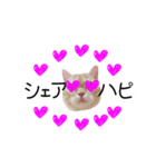 令和うまれのイマドキねこ（個別スタンプ：5）