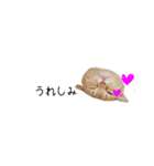 令和うまれのイマドキねこ（個別スタンプ：23）