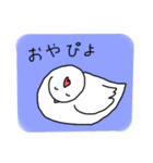 ニワトリ ときどき ヒヨコとタマゴ（個別スタンプ：4）