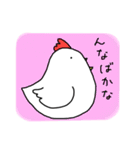 ニワトリ ときどき ヒヨコとタマゴ（個別スタンプ：18）