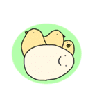 ニワトリ ときどき ヒヨコとタマゴ（個別スタンプ：24）
