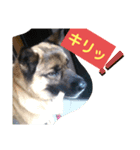驚きジュンちゃん‼️（個別スタンプ：2）