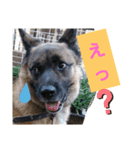 驚きジュンちゃん‼️（個別スタンプ：3）