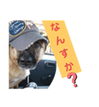 驚きジュンちゃん‼️（個別スタンプ：4）
