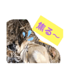 驚きジュンちゃん‼️（個別スタンプ：5）