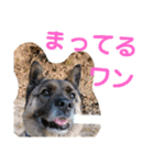 驚きジュンちゃん‼️（個別スタンプ：6）