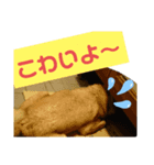驚きジュンちゃん‼️（個別スタンプ：8）