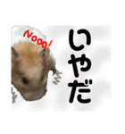 前歯戦隊、かじるんジャー！（個別スタンプ：8）
