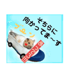 前歯戦隊、かじるんジャー！（個別スタンプ：14）