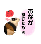 前歯戦隊、かじるんジャー！（個別スタンプ：17）