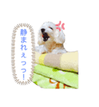 コロンちゃんのひとりごと②（個別スタンプ：4）