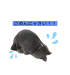 ぷっくんスタンプ！！（個別スタンプ：5）