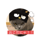 ぷっくんスタンプ！！（個別スタンプ：7）