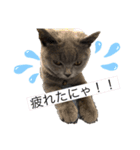 ぷっくんスタンプ！！（個別スタンプ：10）