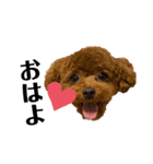 Cheri,love（個別スタンプ：1）