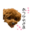 Cheri,love（個別スタンプ：5）