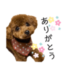 Cheri,love（個別スタンプ：8）