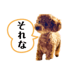 Cheri,love（個別スタンプ：12）