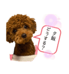 Cheri,love（個別スタンプ：14）