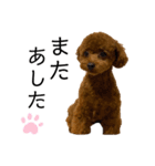 Cheri,love（個別スタンプ：18）