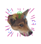 友犬（個別スタンプ：3）