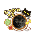 可愛いニャンズ①（個別スタンプ：24）