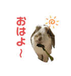 パンくんのスタンプ！（個別スタンプ：1）