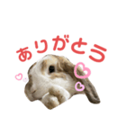 パンくんのスタンプ！（個別スタンプ：2）