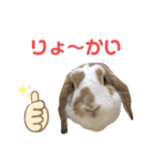 パンくんのスタンプ！（個別スタンプ：3）