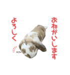 パンくんのスタンプ！（個別スタンプ：4）