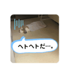 パンくんのスタンプ！（個別スタンプ：7）