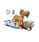 こたすたんぷ3（個別スタンプ：1）