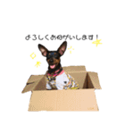 JOY＆LOA（個別スタンプ：10）