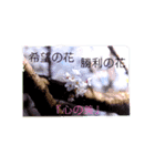 想いの力（個別スタンプ：3）