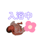 かりんたかじょ（個別スタンプ：13）