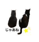 ミルクとミント（個別スタンプ：2）