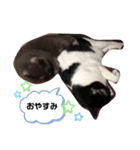 ミルクとミント（個別スタンプ：6）