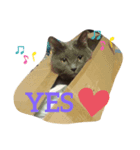 ミルクとミント（個別スタンプ：8）