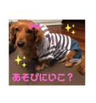 ルカのスタンプ01（個別スタンプ：1）