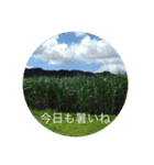 石垣島からのご挨拶（個別スタンプ：2）