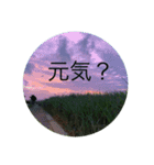 石垣島からのご挨拶（個別スタンプ：14）