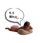 可愛いふーちゃまシリーズ（個別スタンプ：7）