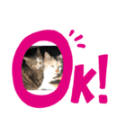 弓南ちゃん（個別スタンプ：7）