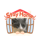 にゃー＆にゃー（個別スタンプ：4）