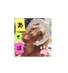 チェリー(  ´꒳`  )（個別スタンプ：3）