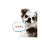 福田さん。season2（個別スタンプ：5）